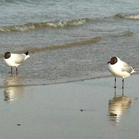 Whg_08 Moderne Kurparkresidenz Str Apartament Timmendorfer Strand